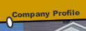 company profile